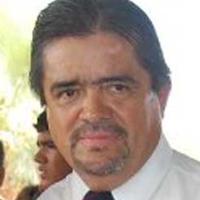 Chapulineo y política: ¿degradación o avance?