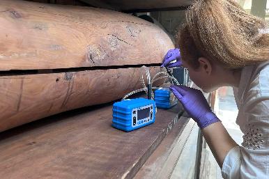 Las momias egipcias siguen oliendo a especias, dulce o madera 5 mil años después