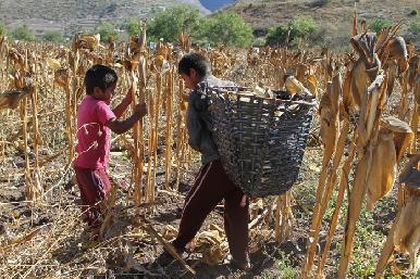 En México, más de 3 millones de niños trabajan: INEGI