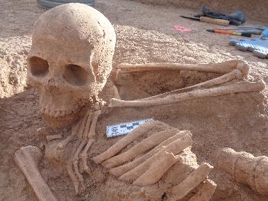 Los hallazgos del Salvamento Arqueológico realizado en el poblado de Puerto Libertad