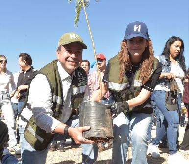 Reconocen gobierno de Toño Astiazarán por arborización e innovación en el cuidado de árboles