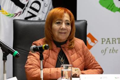 Rosario Piedra comparece ante comisiones del Senado; va por segundo periodo al frente de la CNDH