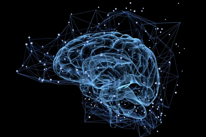 Herramientas de inteligencia artificial del MIT rastreando neuronas en cerebro en movimiento