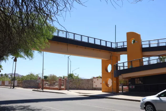 Se lanza estudiante de Medicina desde puente en la Universidad de Sonora