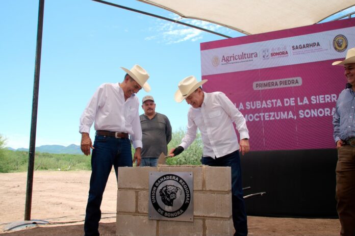 Alfonso Durazo inicia la construcción de la Subasta Ganadera de la Sierra en Moctezuma, Sonora