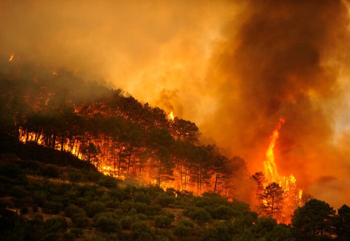 Incendios forestales en Madrid y Ávila provocan emergencia nacional en España