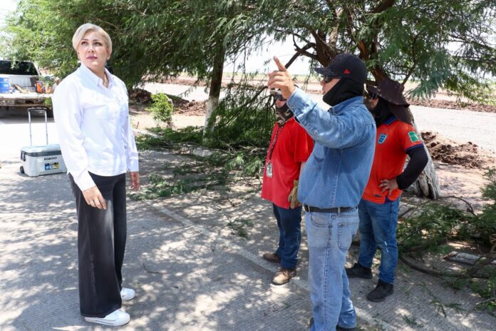 Lluvias golpean Cajeme: Claudia Santacruz supervisa daños y atención a familias