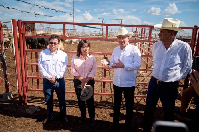 Alfonso Durazo supervisa instalaciones cuarentenarias para reapertura de exportación de ganado en Agua Prieta