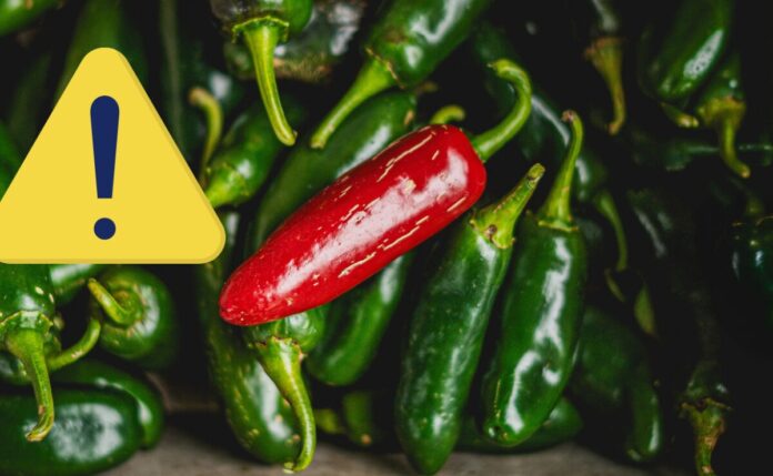 Jalapeños mexicanos y productos agrícolas bajo revisión sanitaria en Estados Unidos
