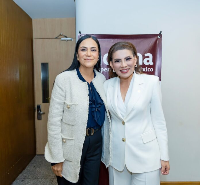 Lorenia Valles Sampedro participa en reunión nacional de Morena en Ciudad de México