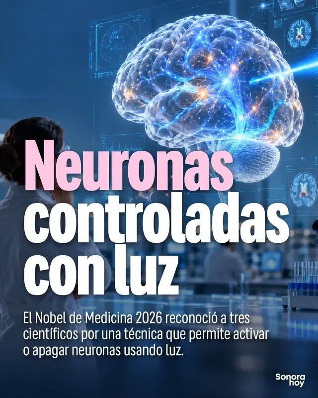 El Nobel de Medicina 2026 reconoció a los científicos detrás de la optogenética, una técnica que permite activar circuitos específicos del cerebro mediante pulsos de luz. El avance ya ayuda a estudiar memoria, emociones y conducta, y abre nuevas posibilidades en tratamientos neurológicos e incluso en investigaciones para recuperar la visión. Parece ciencia ficción, pero ya está cambiando la neurociencia. ¿Hasta dónde crees que debería llegar esta tecnología? 👀 #Nobel #Medicina #Neurociencia #Ciencia #Tecnología