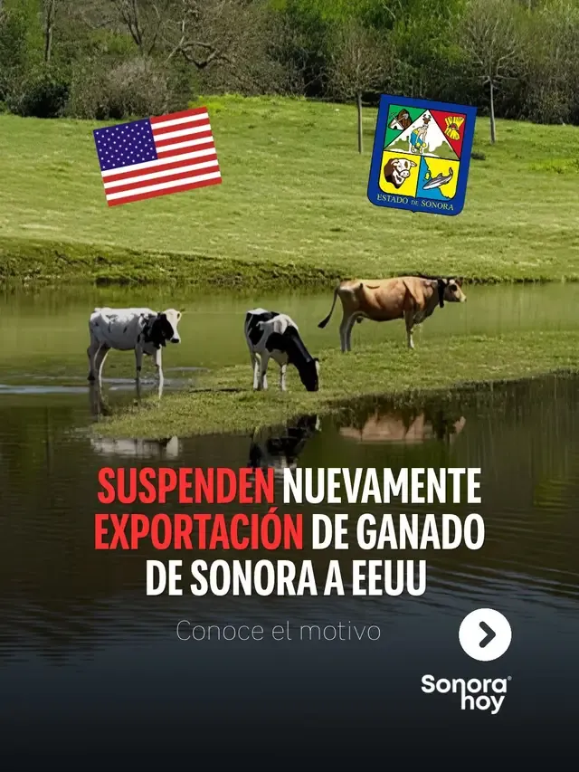 Suspenden exportación vacuna de #Sonora a #EEUU  #ganaderia